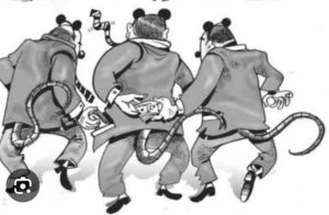 TERINDIKASI “KKN” PERUSDA KINANTAN DIPERIKSA TIPIDKOR POLRES SIJUNJUNG